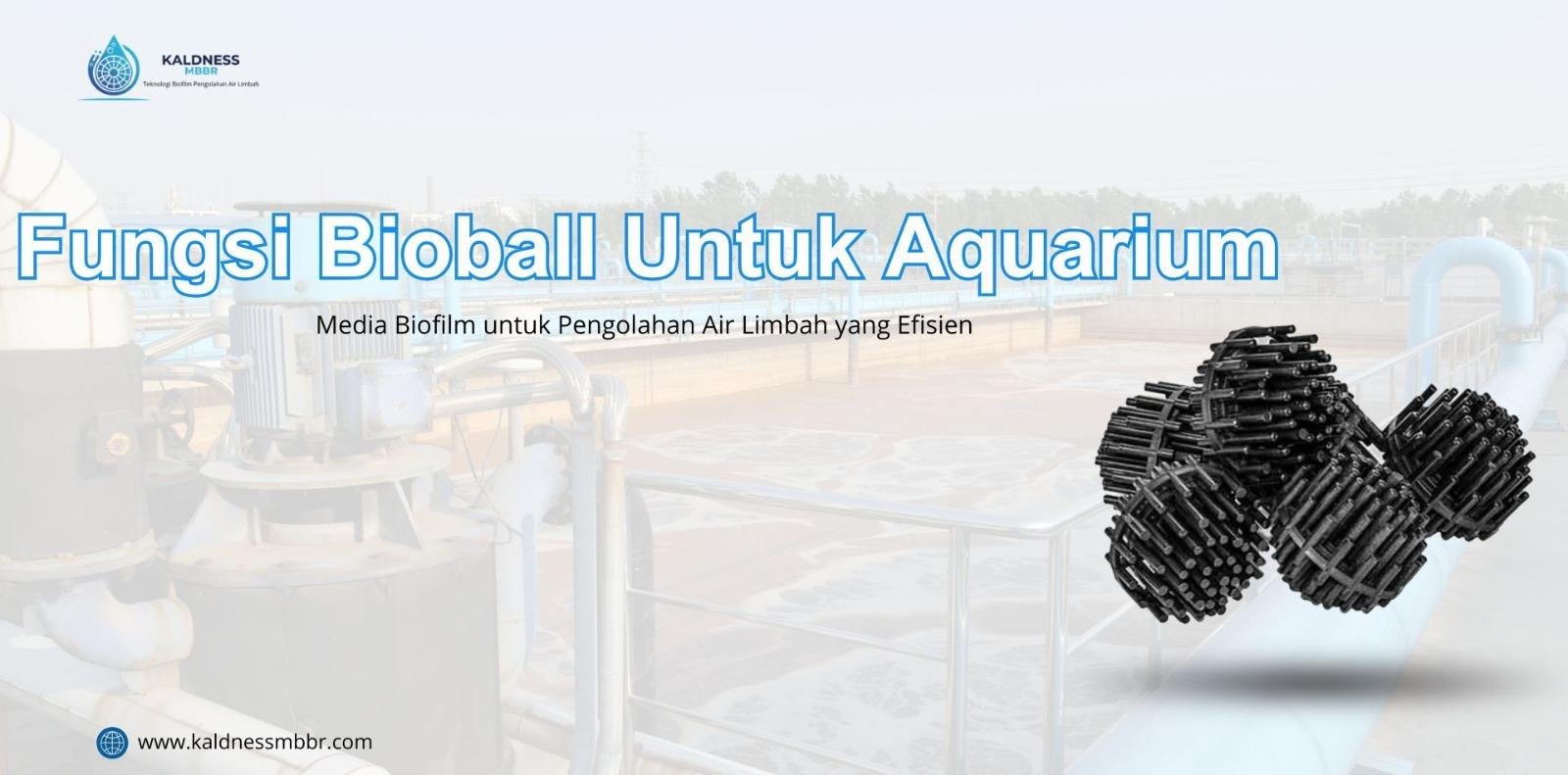 Fungsi Bioball Untuk Aquarium
